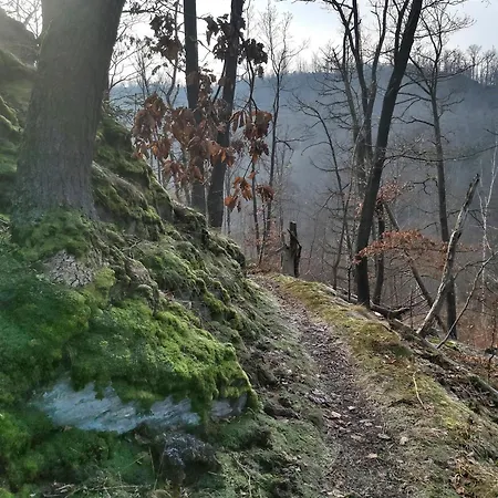 Apartament Bodebude *