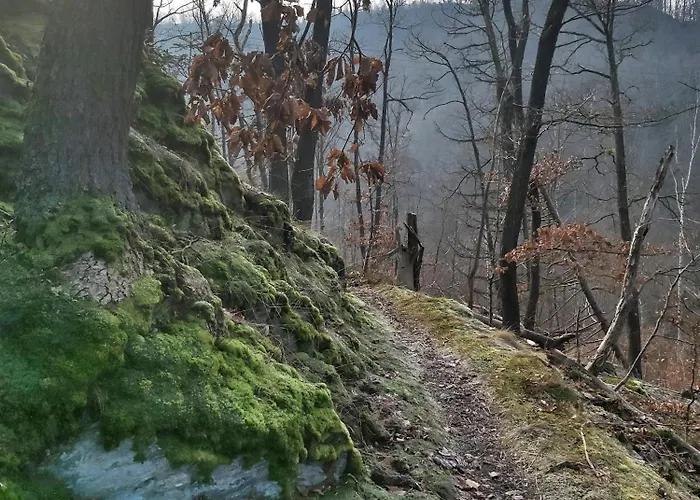 Lägenhet Bodebude *