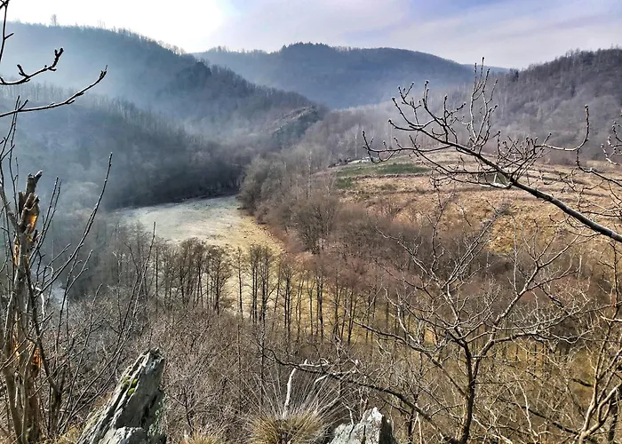Bodebude Lägenhet Thale